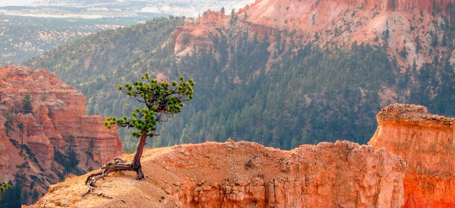 In 7 Schritten zu mehr Resilienz