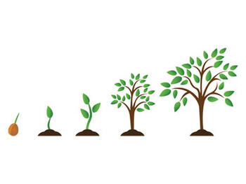 Grow Grow