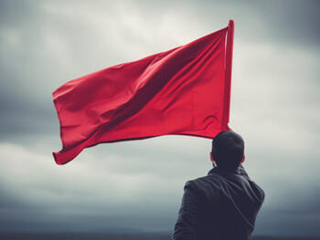Is Your Project in Trouble? 13 Red Flags